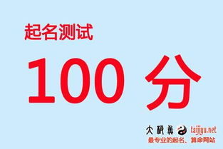 起名网免费取名打分100分